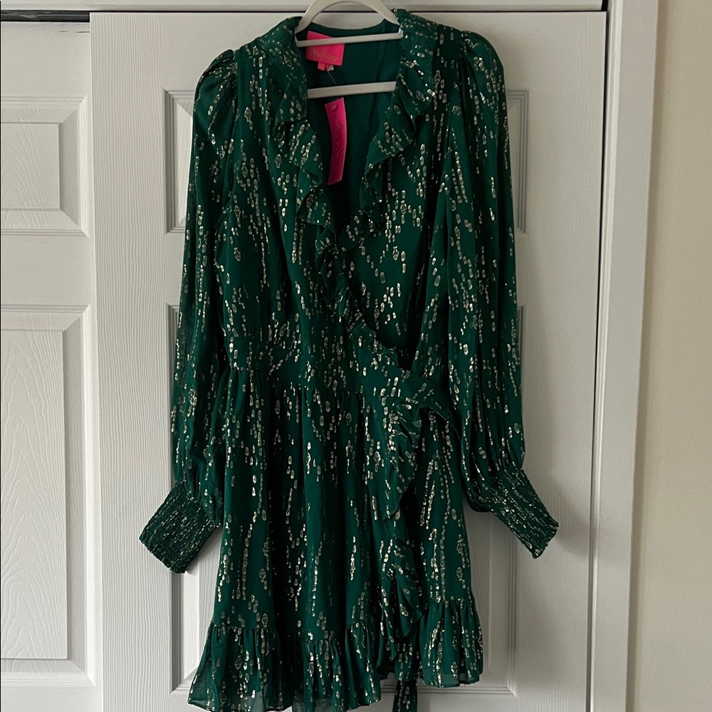 NWT - Lily Birdy Long Sleeve Silk Dress - Evergreen - Size 16 - Picture 2 of 10